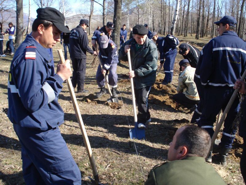 Voluntari pentru plantarea a un milion de copaci