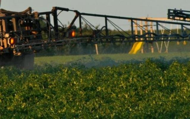 APIA Gorj avertizează cu privire la regulile produselor de protecţie a plantelor