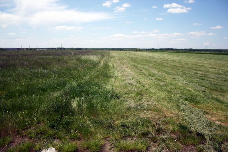 Bătaie pentru pământ la Hurezani