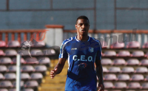 Încep să se vadă câștigurile campaniei de achiziții