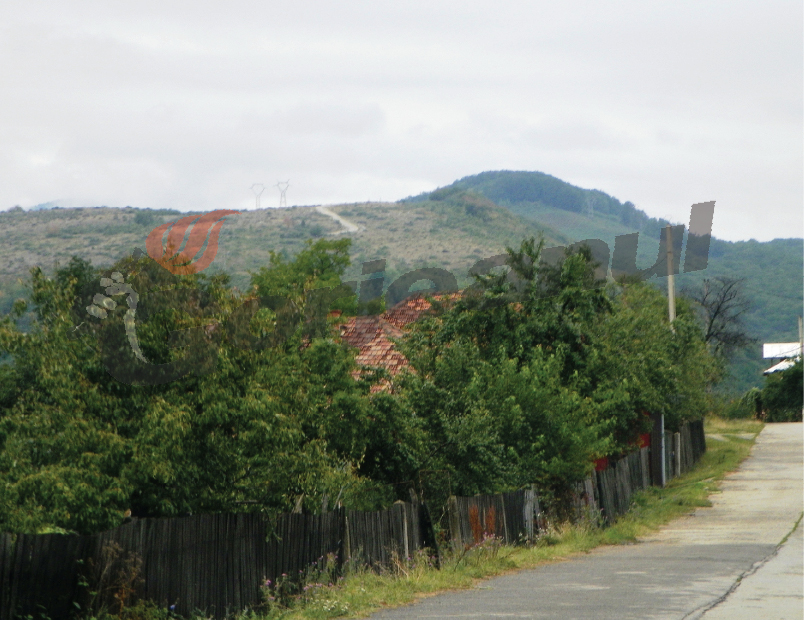 Restituiri – „SALVE ROMULI PARVA NEPOS”
