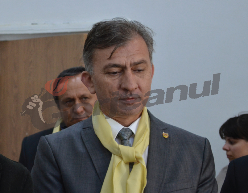 Dian, pus pe făraş de Vâlceanu