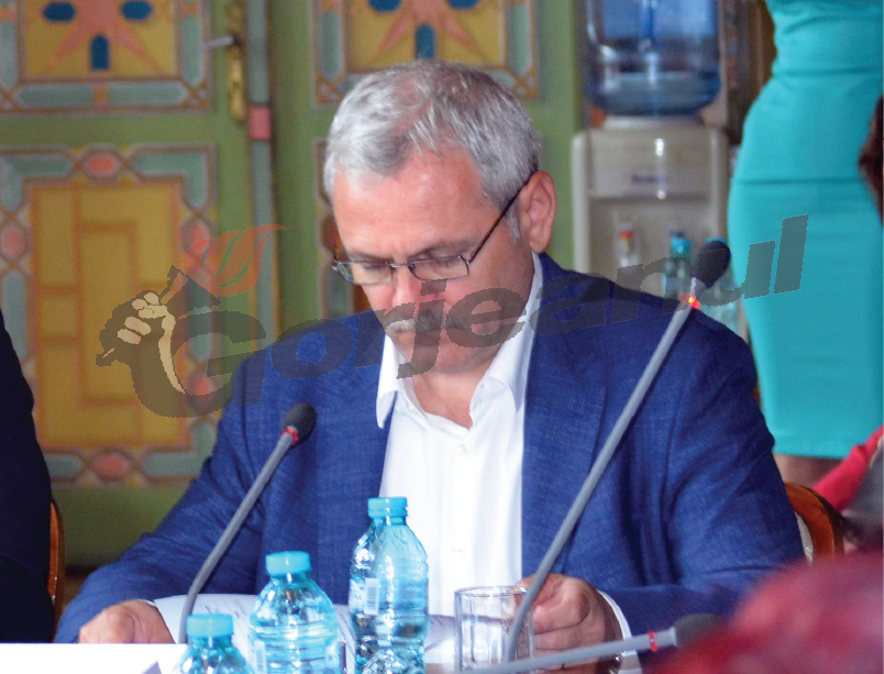 dragnea (1)