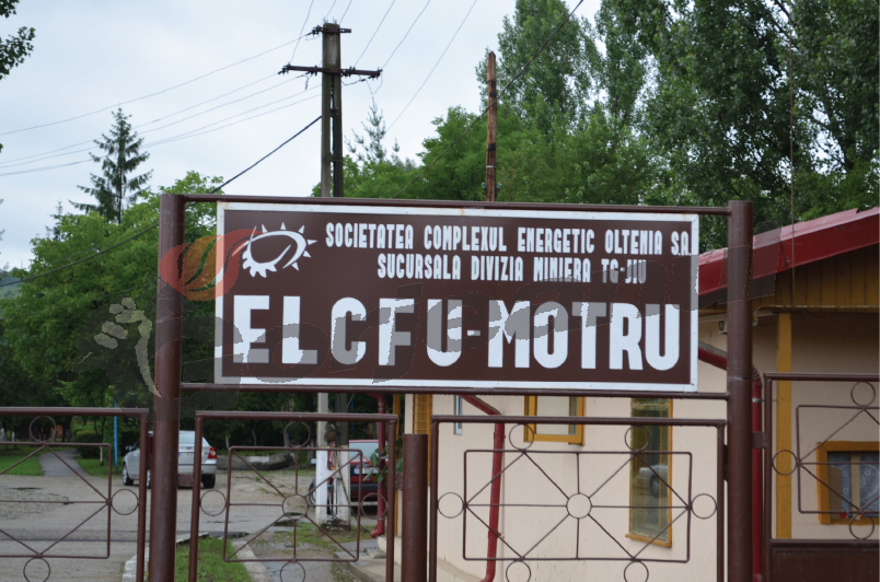 elcfu motru (2)