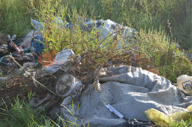 Serviciu de Salubritate din judeţ caută contabil