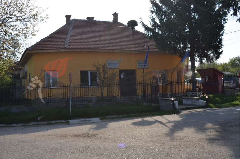 Primăriile Albeni şi Dăneşti angajează şoferi