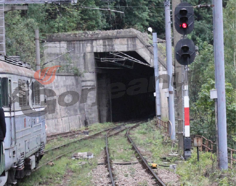 Condamnări pentru hoții din Valea Jiului