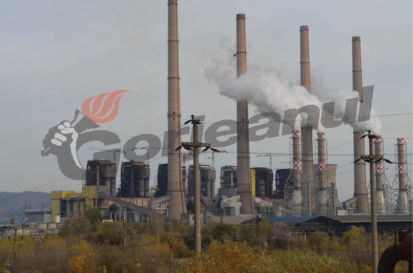 Anchetă dispusă de Pisc, acasă la şeful Dăianu: Salahorii Minprest nu au fost găsiţi