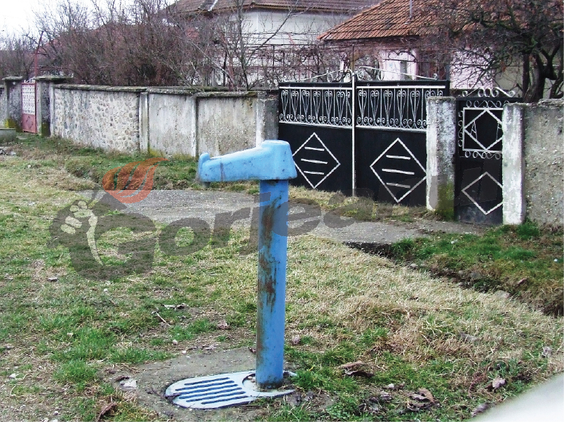 Astenii de toamnă – „Ghici ghicitoarea mea!”