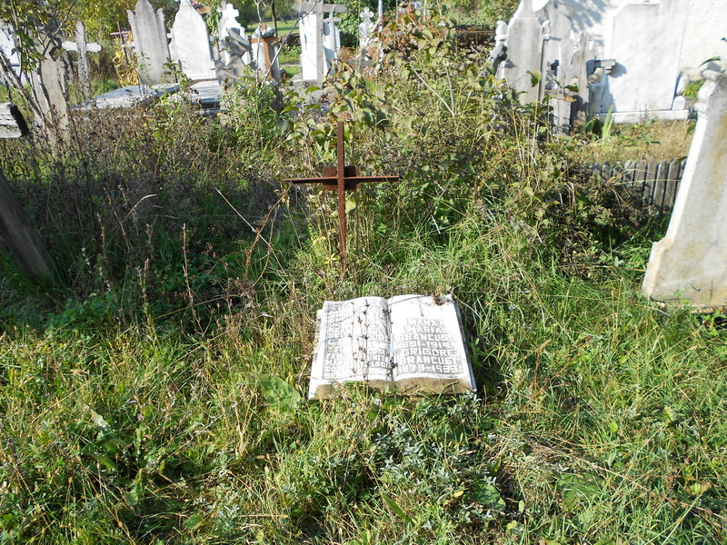 Însemnări de scriitor – Mormântul mamei lui Brâncuşi e în Cimitirul Brădiceni, nu la Hobiţa!