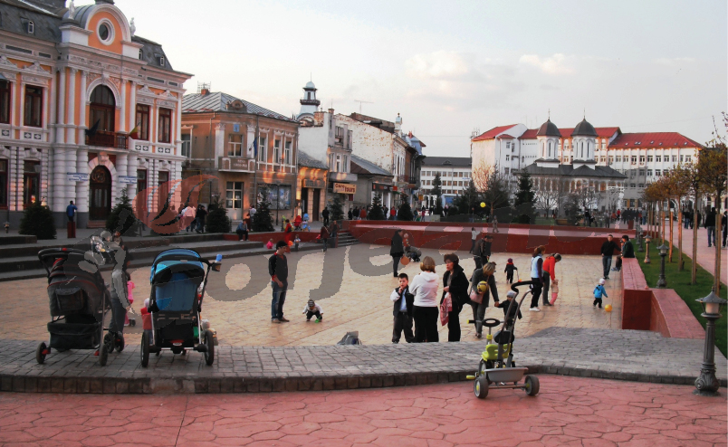 Modificarea legislației pentru tineret, dezbătută la DJST