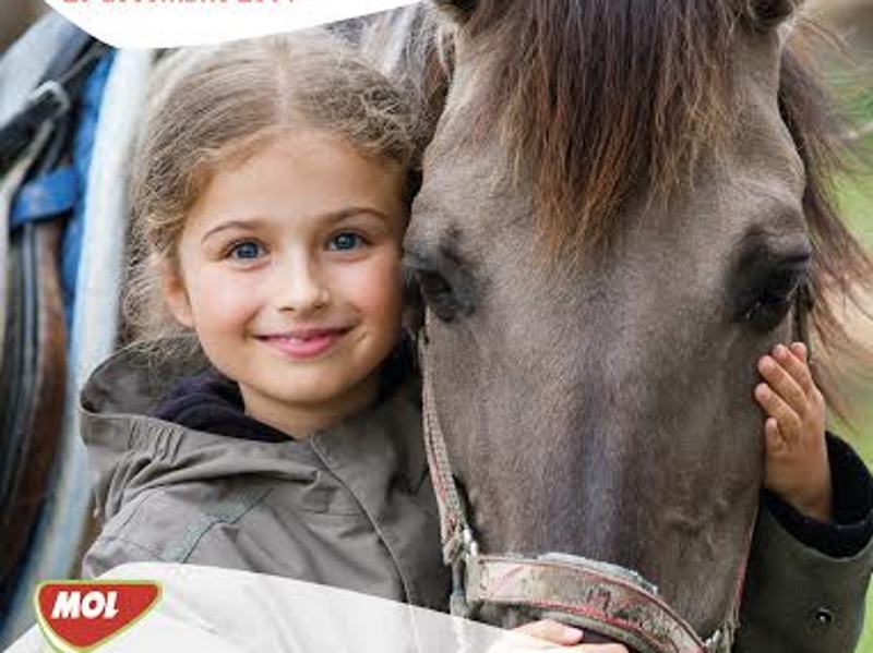 Finanţare pentru ONG-urile care desfăşoară proiecte de terapie pentru copii