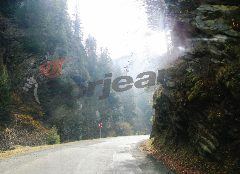 Iubitori ai naturii – „Se-ntoarnă oiştea vremii”