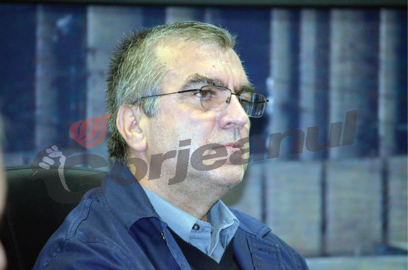 Pisc a pasat fin cârma SE Rovinari