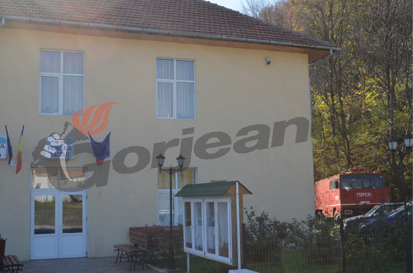 primaria sacelu (14)