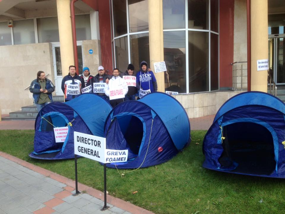 12208727_176560166023139_8119335091505489644_n