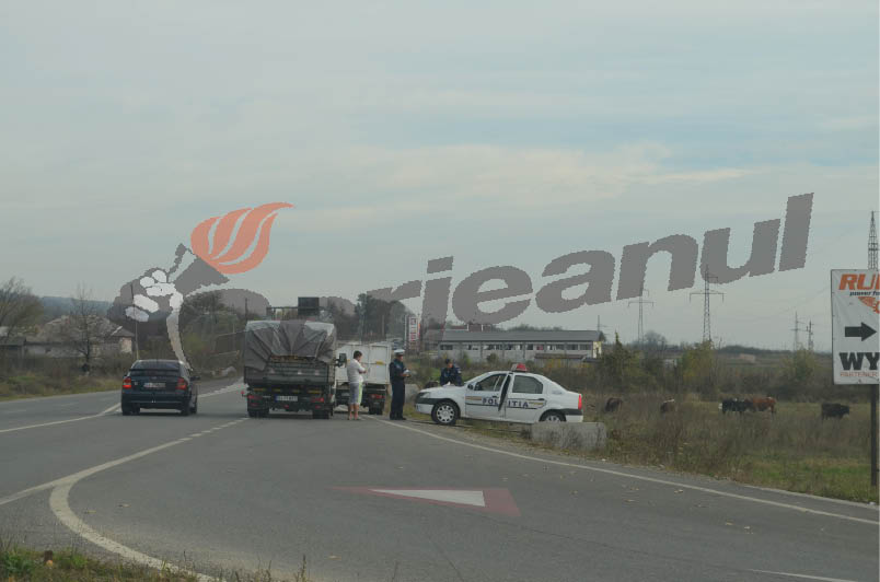 Furturile de material lemnos, în atenţia poliţiştilor