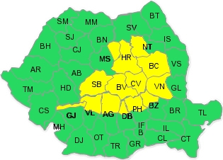 Cod galben de ninsori