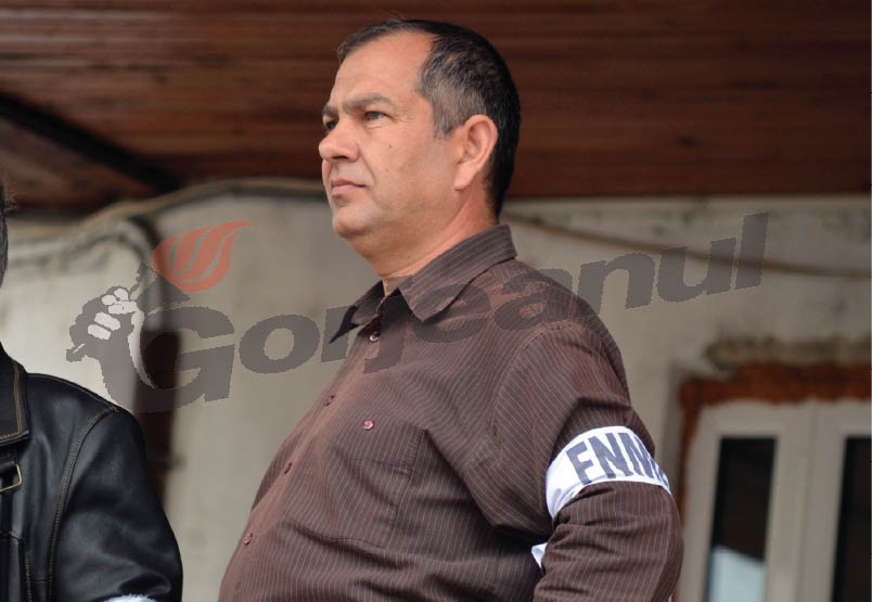 parvulescu fnme (2) ins