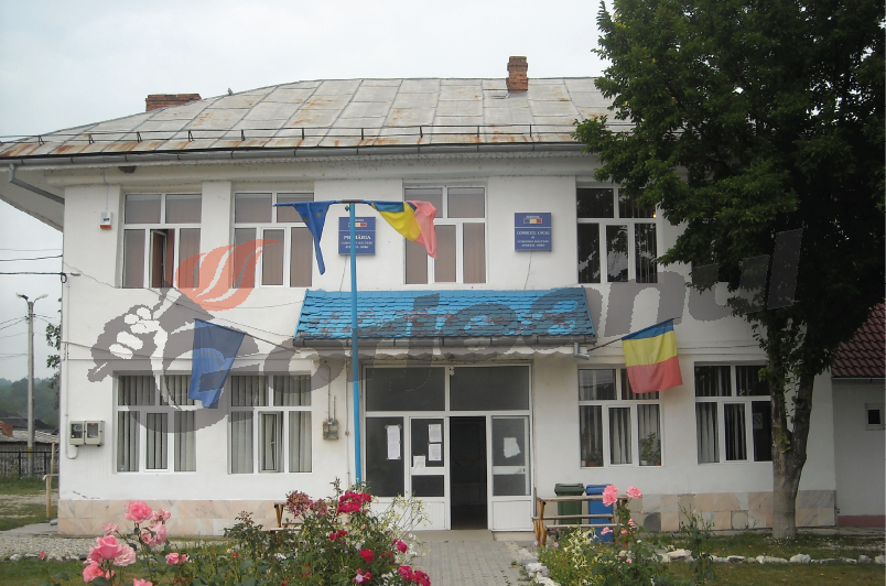 Dactilograf şi mecanic pentru Primăriile Bîlteni şi Logreşti