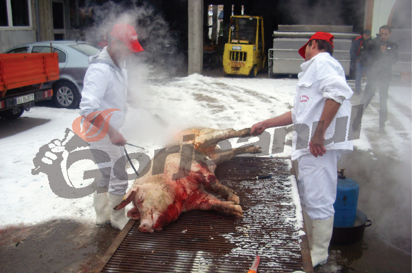 Instruiri cu medicii veterinari, premergătoare Sărbătorilor de Iarnă