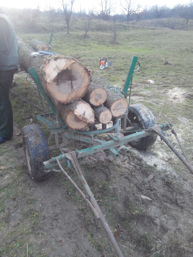 Prinși în timp ce transportau cu căruța lemne furate