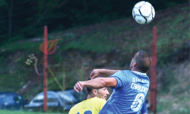 Cluburile sportive din Gorj, luate la puricat de Curtea de Conturi