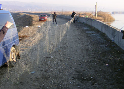 Cercetaţi pentru pescuit ilegal