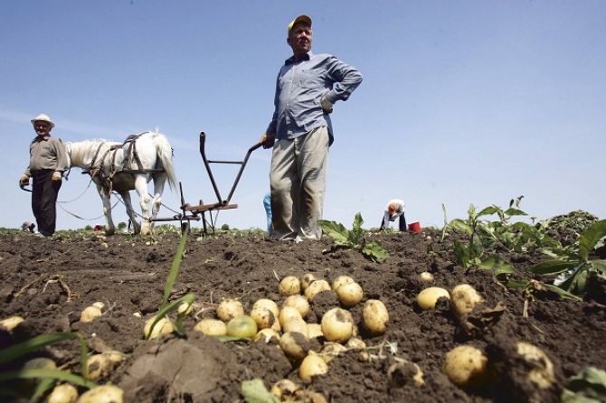 Rentierii din Gorj şi-au primit banii