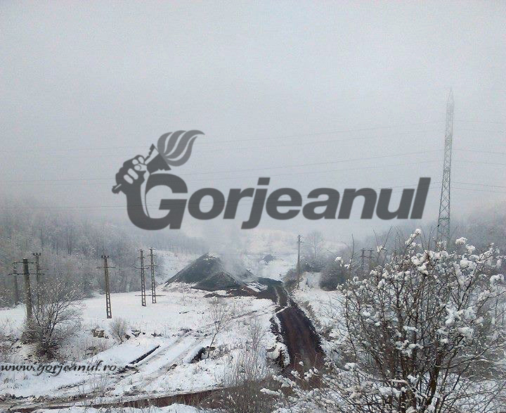 În timp ce firma își vinde șase case și două apartamente: Reziduurile de cărbune de la microcariera privată din Lupoaia, transportate la noua Lorfa din Florești