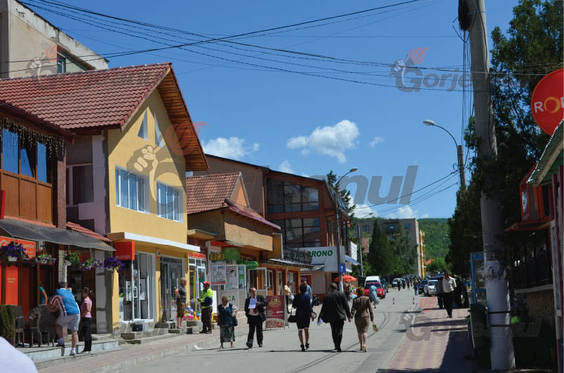 Condamnare pentru fostul administrator de bloc de la Bumbești-Jiu