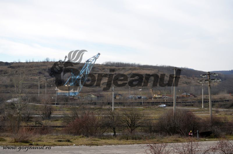 Susținere de la Greenpeace pentru localnicii din Runcurelu