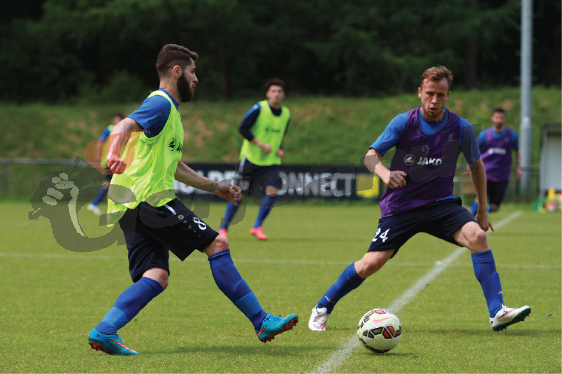 Pandurii stau bine din punct de vedere medical