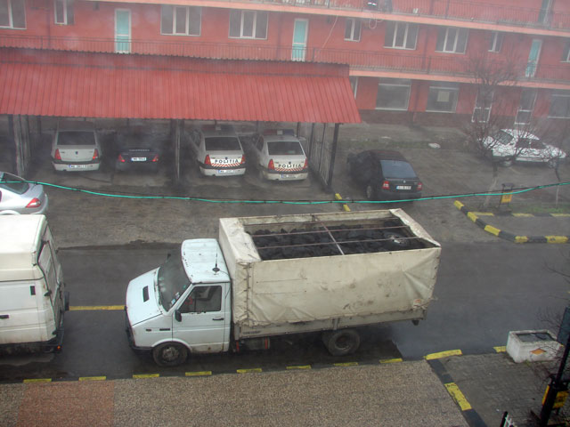 Tânăr prins cu autoutilitara plină de cărbune furat