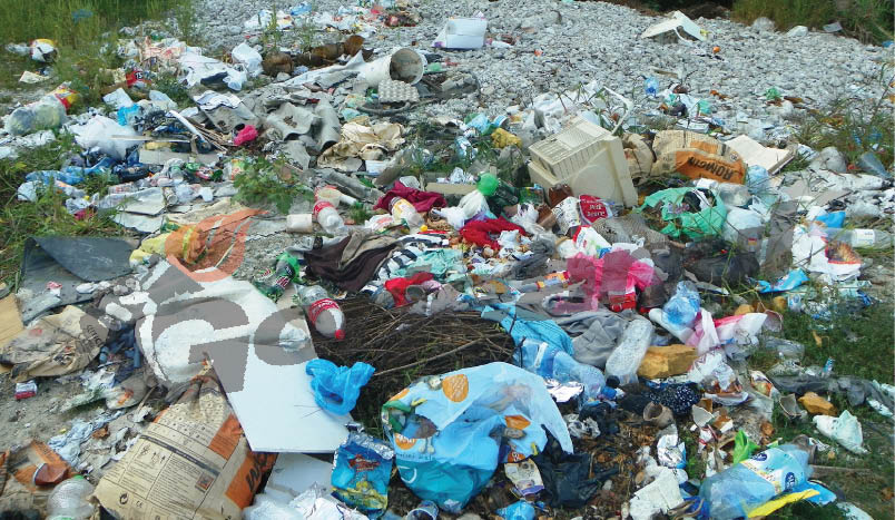 Sancţionaţi de Garda de Mediu!