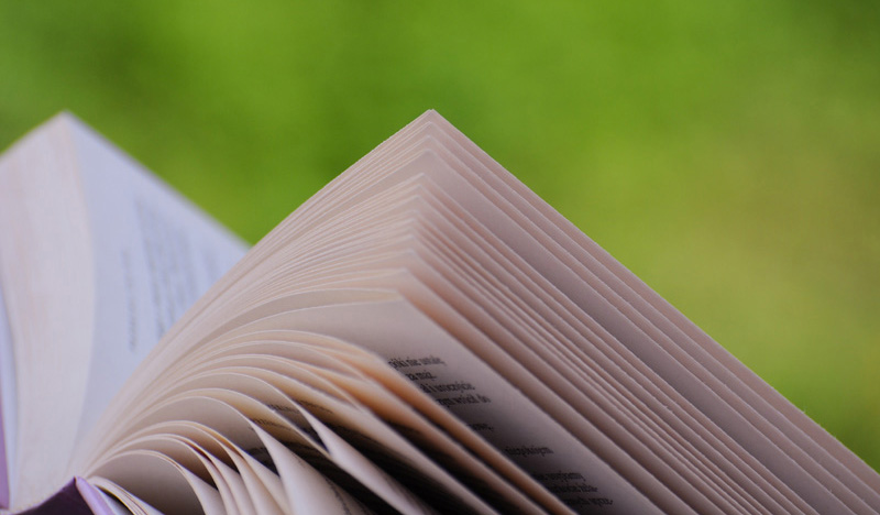 Limba noastră – Argoul, un limbaj convențional, un aspect al limbii vorbite