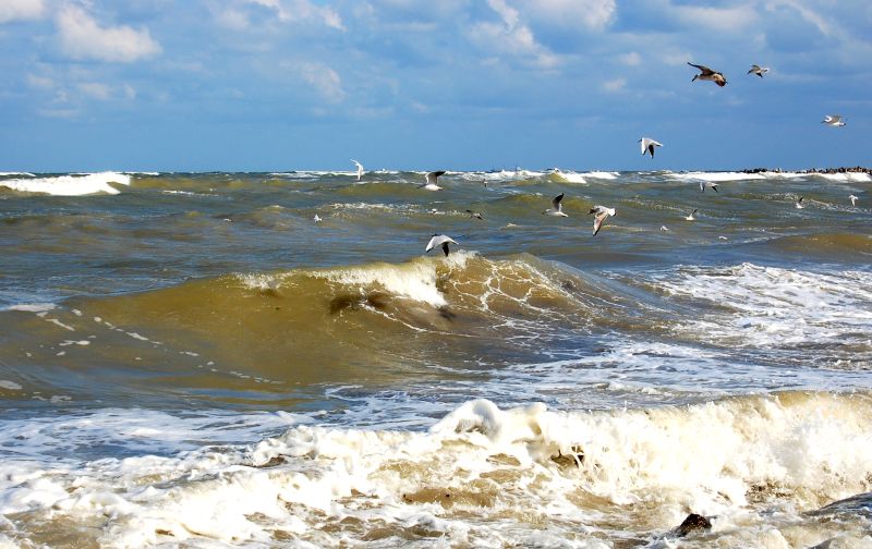 Eu vreau să fiu Marea