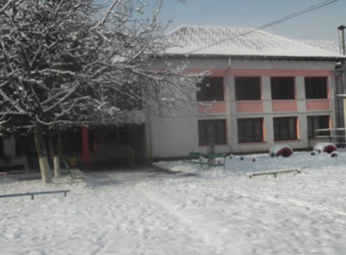 Spectacol omagial ,,Eminesciana”