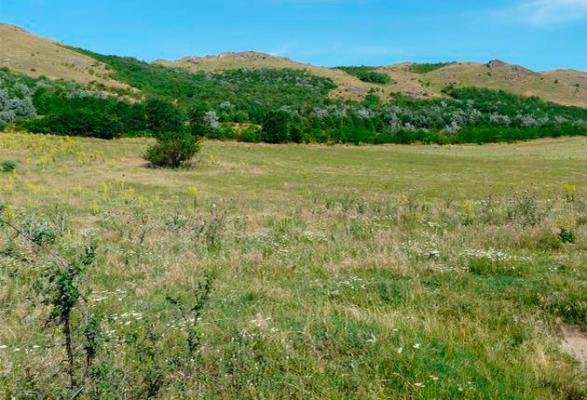 Prelungire de termen pentru amenajamentele pastorale