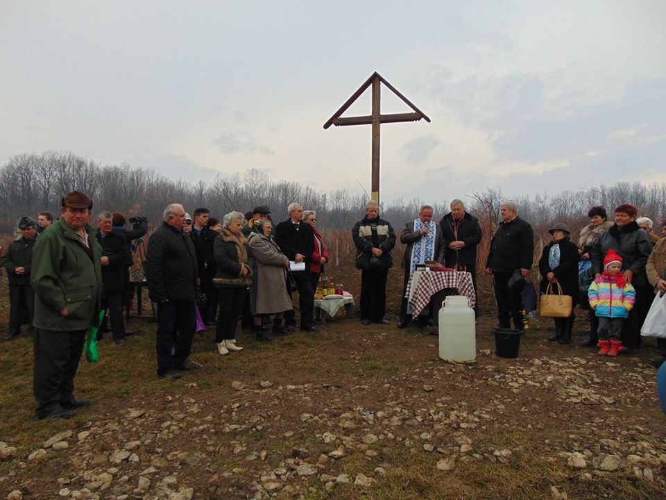 Muscat Ottonel, made in Bălănești