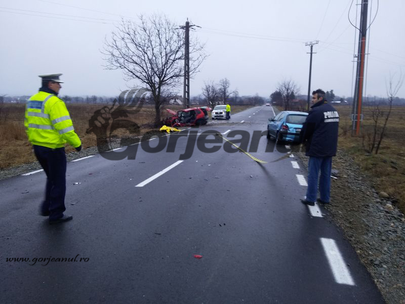 Accident mortal la Peștișani