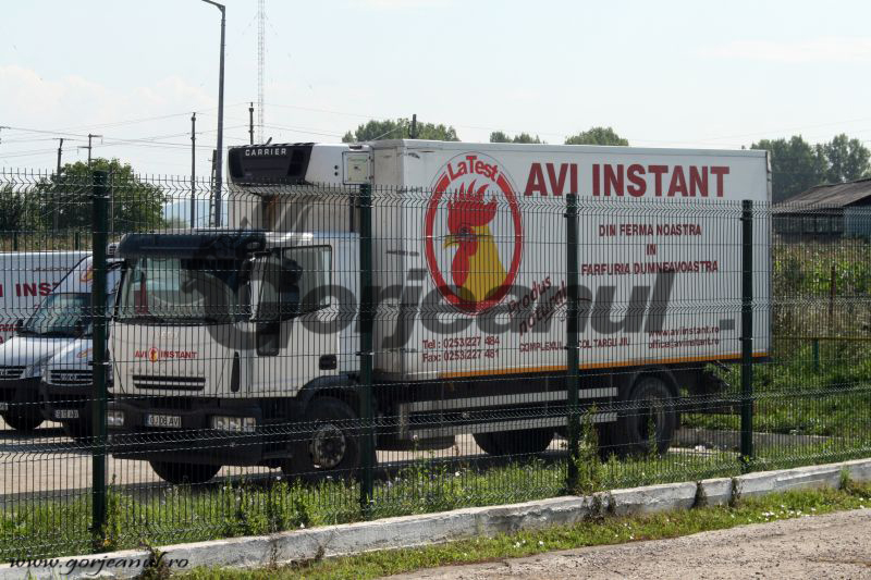 Zeci de mii de pui morți la Avi Instant