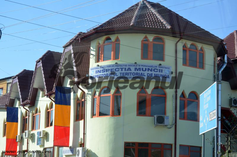 Noi patroni au dat cu subsemnatul la ITM