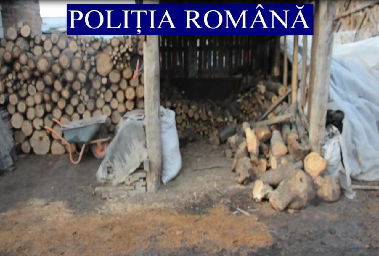 Adolescent de 17 ani, suspectat de comiterea mai multor delicte silvice