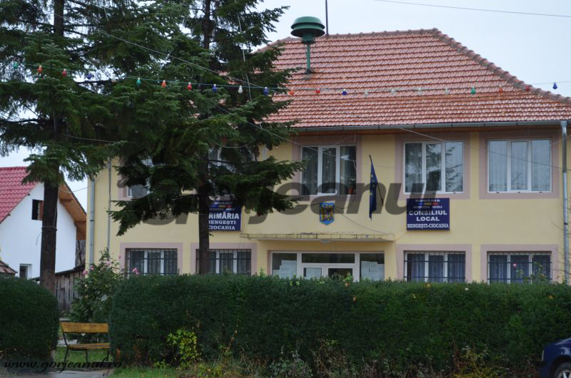 PNL și-a dinamitat organizația din Bengești-Ciocadia: Trei consilieri au fost excluși, iar președintele, destituit