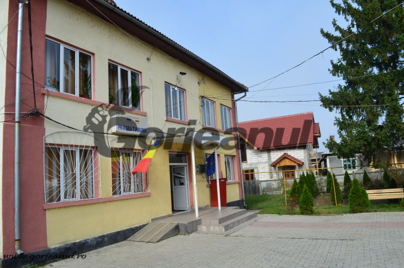 Se caută şofer la Primăria Turburea