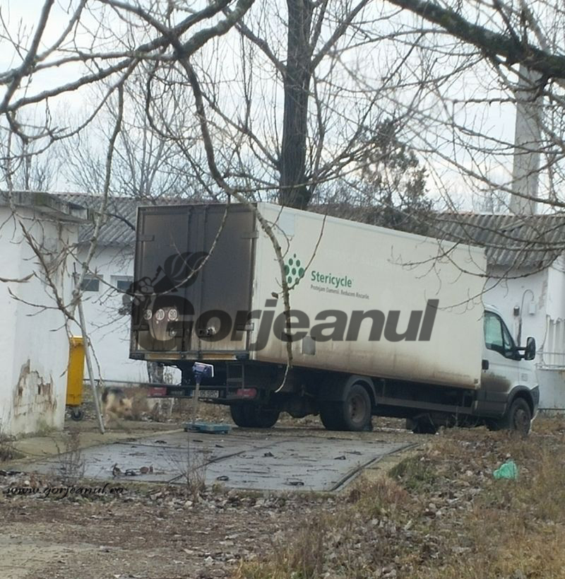 Puii morți la fosta Avicola au ajuns la Craiova!