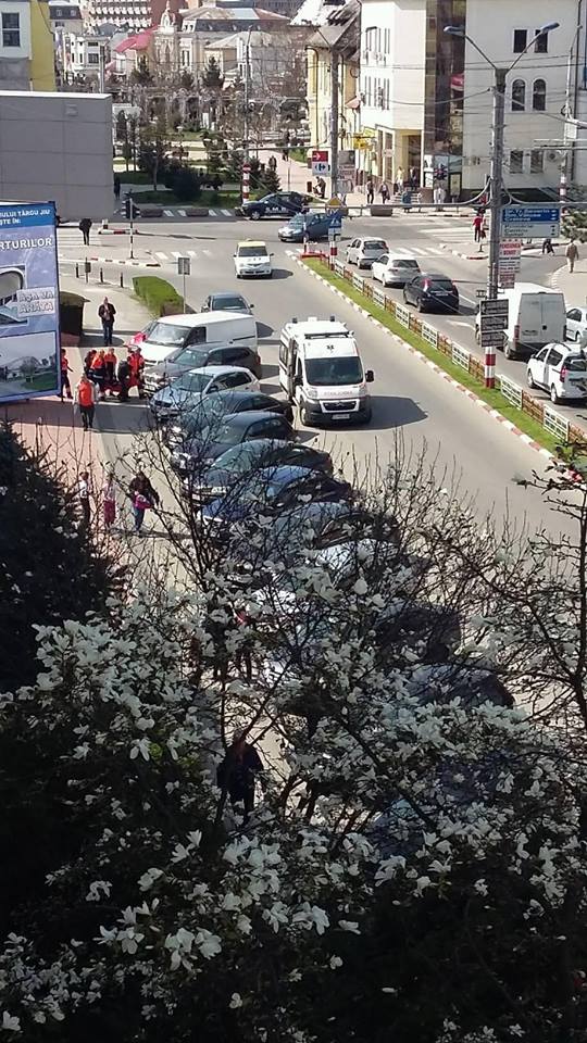 12895446_1259149504099573_1621335493_n