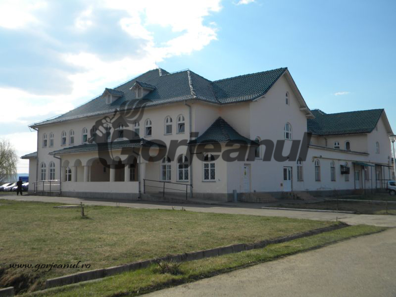 În timp ce se juca de-a tehnicianul veterinar / Directorul Centrului Pilot de la Târgu-Cărbunești a lăsat să moară o vacă și doi viței Holstein