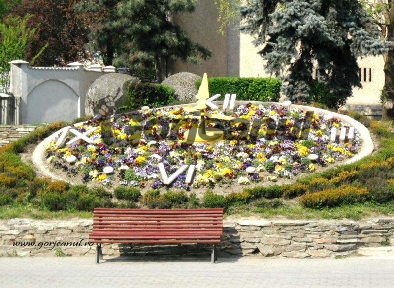 Medicii recomandă odihnă şi plimbări în aer liber